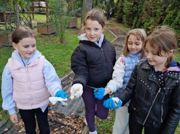 3fe8228c-f1e2-42c9-8d49-fd1510bd1eeb