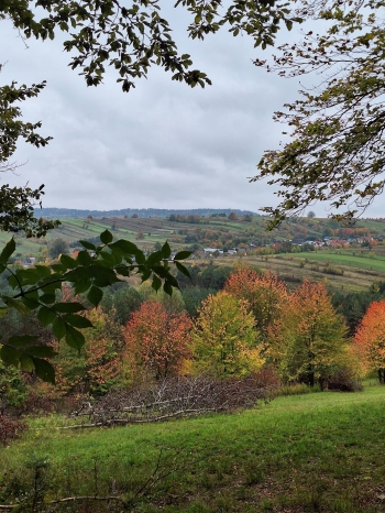 IMG-20261019-WA0012