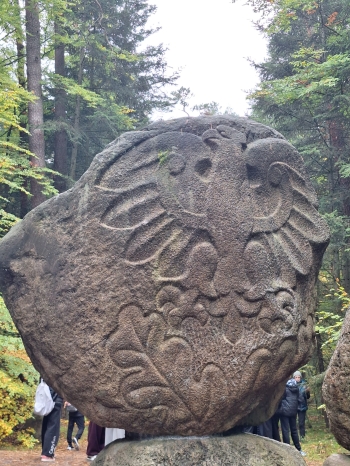 IMG-20261019-WA0013