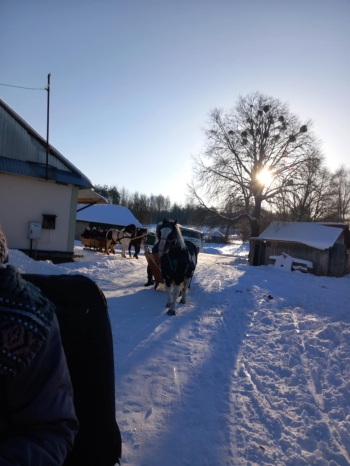 4f569682-0dc6-46a2-bbdf-b5d6c8b2337f