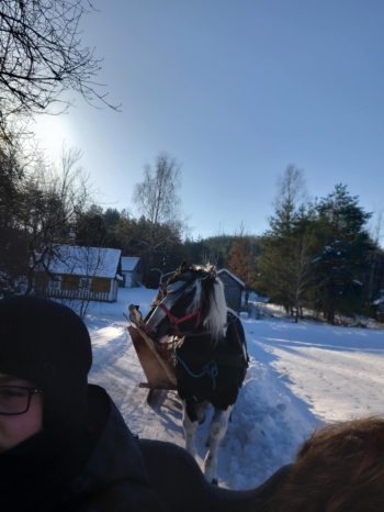 9c91a561-2d9c-4cde-ad49-9924fe0da923