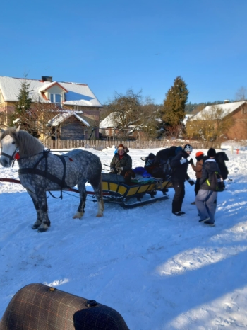 c8728fdc-cd9e-4c16-b6f7-cf031bf0f2ba