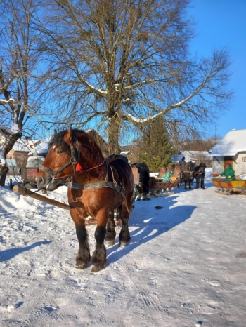 fda76689-a9dc-47a9-8117-93122d05c6f6