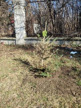 IMG_20260305_100920033_HDR