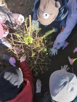 IMG_20260305_100710965_HDR