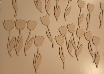 IMG_20260316_194939960_MFNR