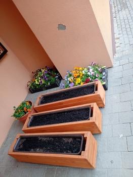 IMG_20260408_065425260_MFNR