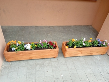 IMG_20260408_125336389_MFNR