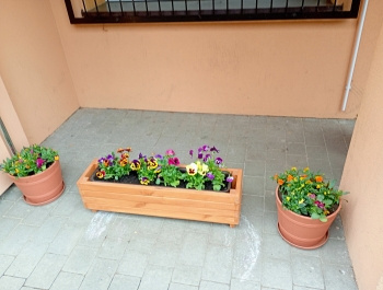 IMG_20260408_125351672_MFNR~2