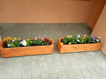 IMG_20260408_125339292_MFNR