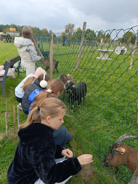 Wycieczka klas piątych do Zoom Natury w Janowie Lubelskim