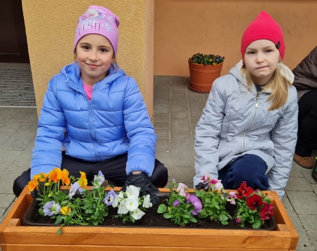 Dbamy o środowisko – zazieleniamy naszą szkołę! 